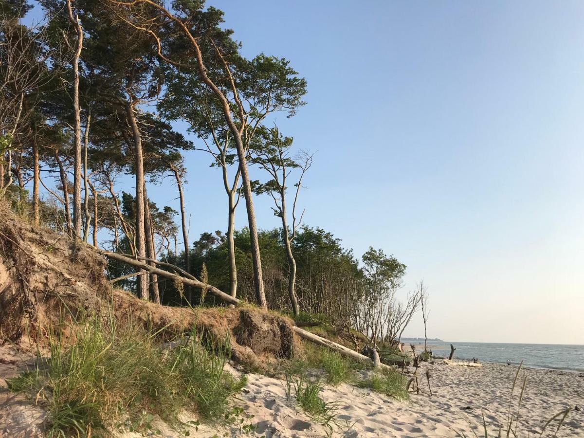 "Kontorhaus" By Ferienhaus Strandgut ボルン エクステリア 写真
